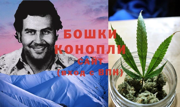 спиды Аркадак