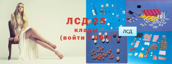 спиды Аркадак
