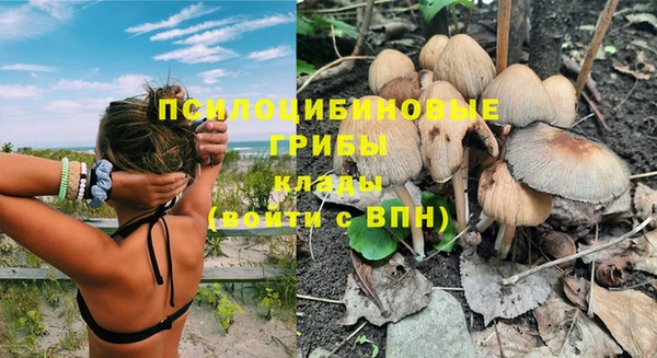 спиды Аркадак